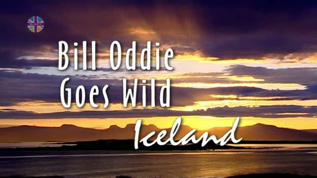 Bill Oddie Goes Wild   S03E11   Iceland (11th Jan 2004) [PDTV (Xvid)] Subs preview 0