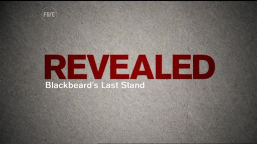 Blackbeard's Last Stand   Revealed (30th July 2009) [PDTV (Xvid)] Subs preview 0
