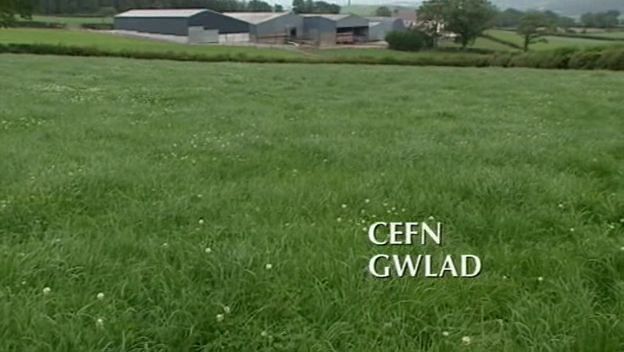 Cefn Gwlad   Dai a Gwen Gwarffynnon (2003) [PDTV (Xvid)] Subs preview 0