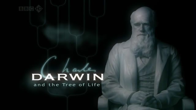 Charles Darwin and the Tree of Life (1st February 2009) [HDTV 720p (x264)] preview 0