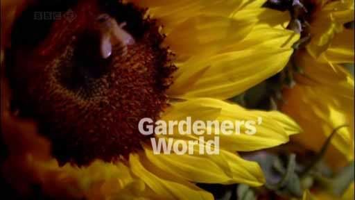 Gardeners' World S42E16 (4th September 2009) [HDTV 720p (x264)] Subs preview 0