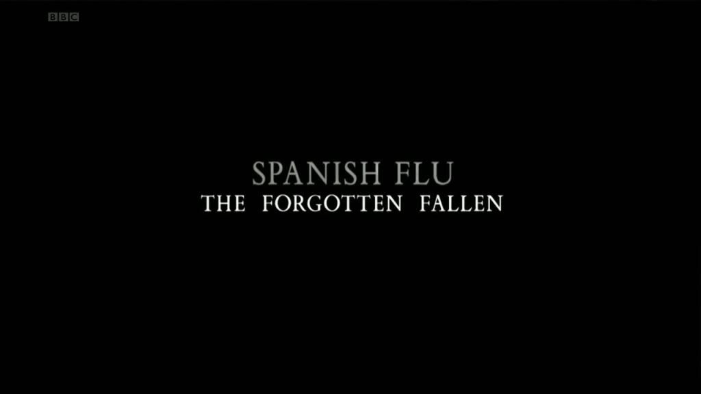 Spanish Flu   The Forgotten Fallen (6th August 2009) [WebRip 720p (h264)] Subs preview 0