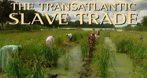 Pilot Guides (Lonely Planet)   The Transatlantic Slave Trade (2008) [PDTV (Xvid)] preview 0