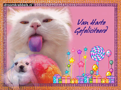 [img width=390 height=290]http://i250.photobucket.com/albums/gg277/hyves-plaatjes/droomplaatjes/gefeliciteerd/7.gif[/img]