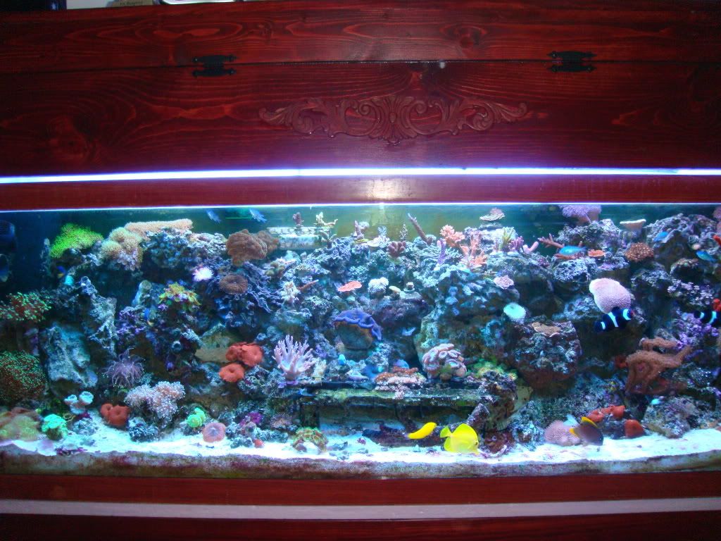 DSC03253.jpg