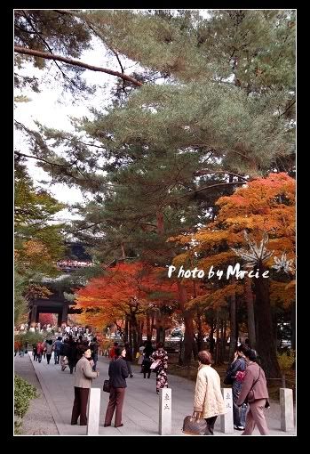 日本 京都 南禪寺 楓