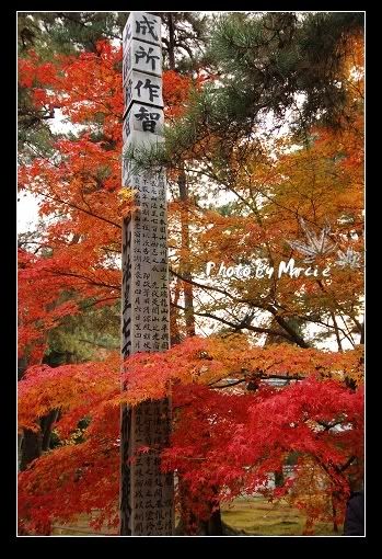 日本 京都 南禪寺 楓