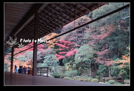 日本 京都 南禪寺 楓