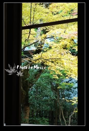 日本 京都 南禪寺 楓