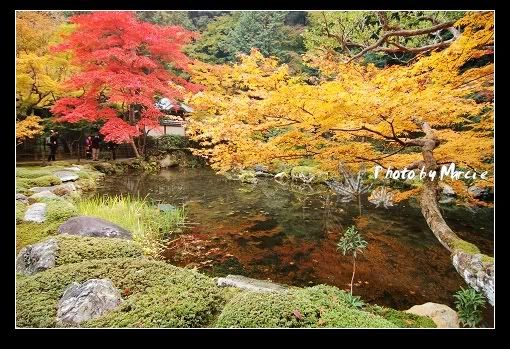 日本 京都 南禪寺 楓