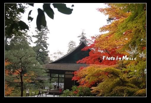 日本 京都 南禪寺 楓