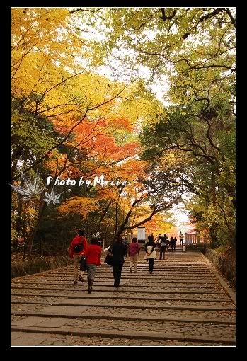 日本 京都 光明寺
