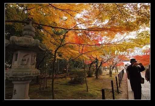 日本 京都 光明寺