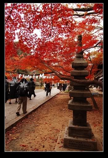 日本 京都 光明寺