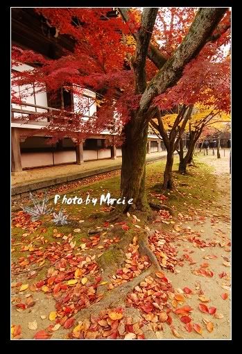 日本 京都 光明寺