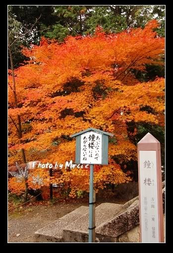 日本 京都 光明寺