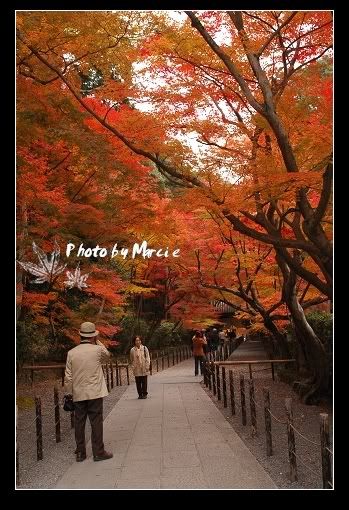 日本 京都 光明寺