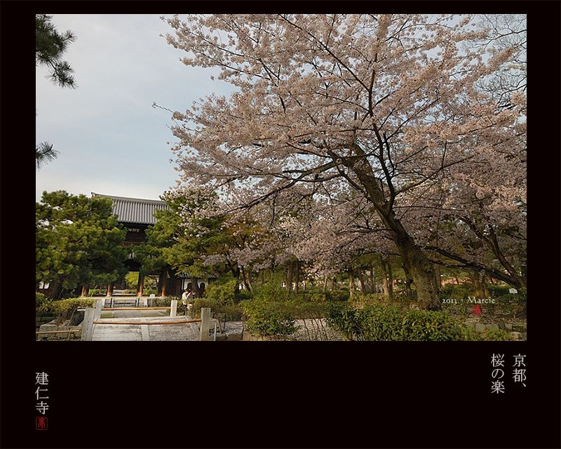 京都建仁寺