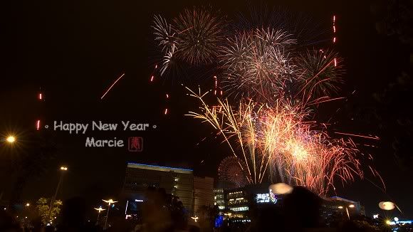 2011 DreamMall fireworks(2011高雄跨年夢時代煙火)