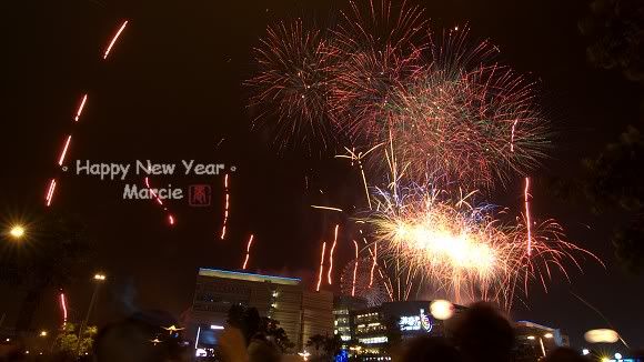 2011 DreamMall fireworks(2011高雄跨年夢時代煙火)
