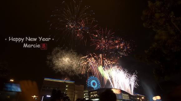2011 DreamMall fireworks(2011高雄跨年夢時代煙火)