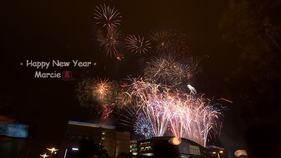 2011 DreamMall fireworks(2011高雄跨年夢時代煙火)