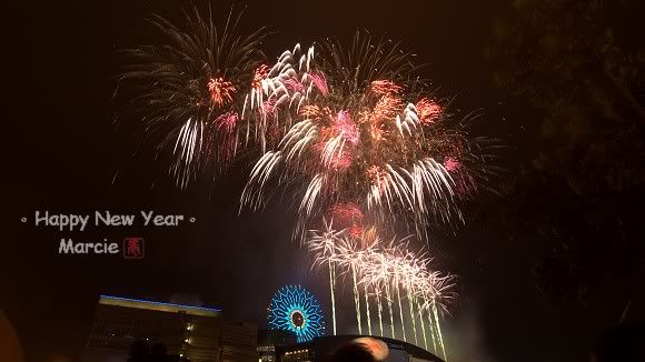 2011 DreamMall fireworks(2011高雄跨年夢時代煙火)