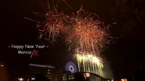 2011 DreamMall fireworks(2011高雄跨年夢時代煙火)