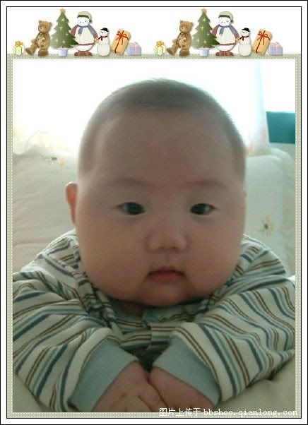 fat asian babies