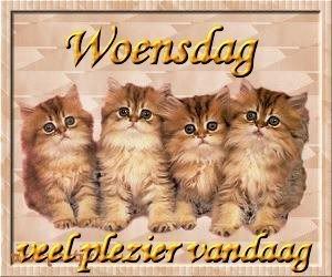 woensdag Pictures, Images and Photos