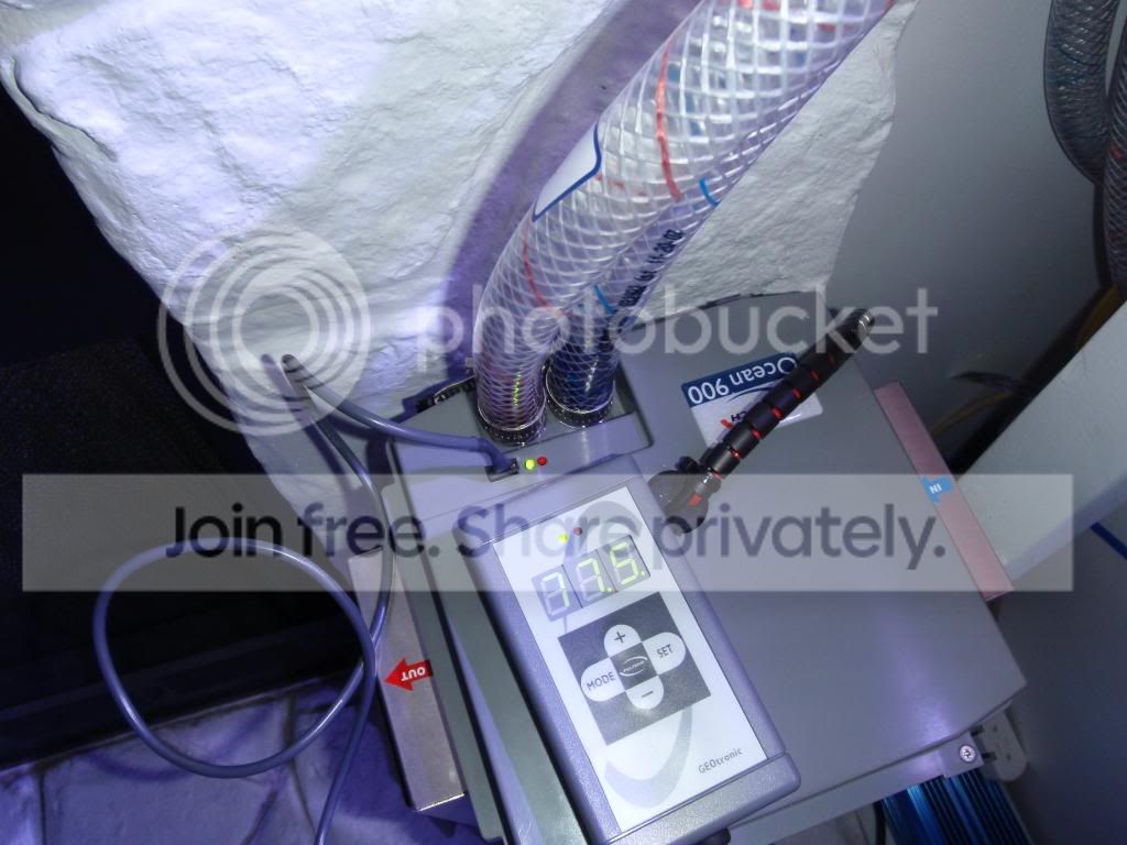 Peltech Geotronic Club | Reef Central Online Community