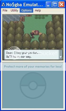 Pokemon Lite Garnet