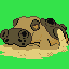 [PokeCommunity.com] Platinum Indexed Sprites