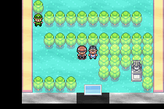 [PokeCommunity.com] Pokemon Metallic Rose, etc.