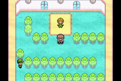 [PokeCommunity.com] Pokemon Metallic Rose, etc.