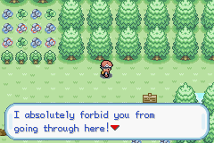[PokeCommunity.com] Pokemon Metallic Rose, etc.