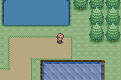 [PokeCommunity.com] Pokemon Metallic Rose, etc.