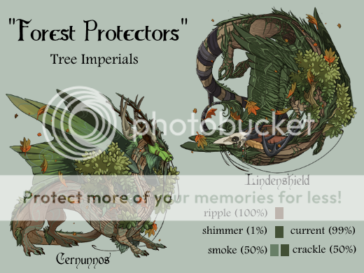 Forest%20Protectors%20pair.png
