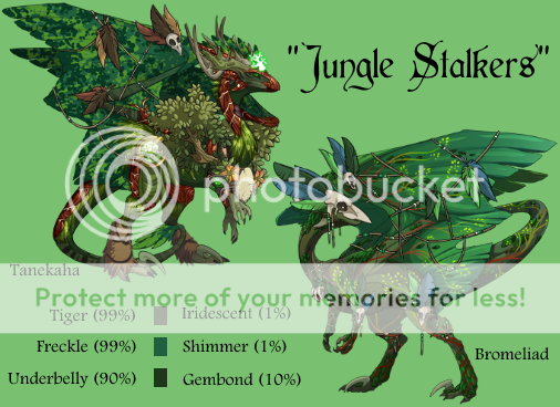 jungle%20stalkers%20pair.png