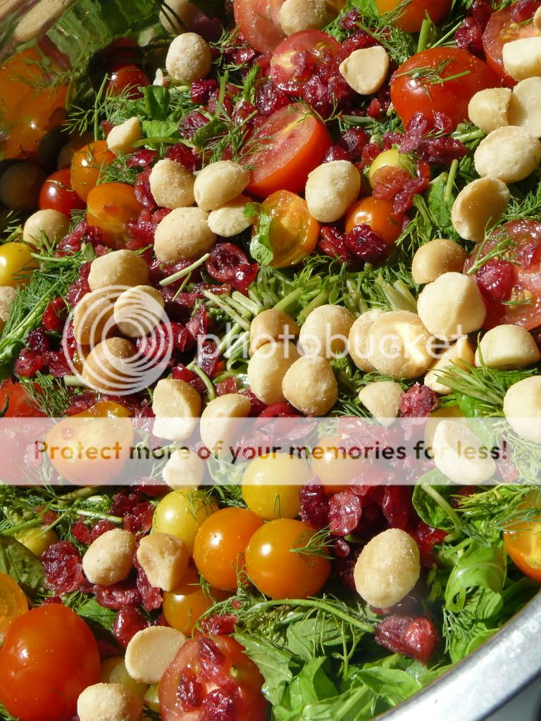 https://HFiNews.com/blog/pc-tv - Fresh Herb and Macadamia Nut Salad Picture