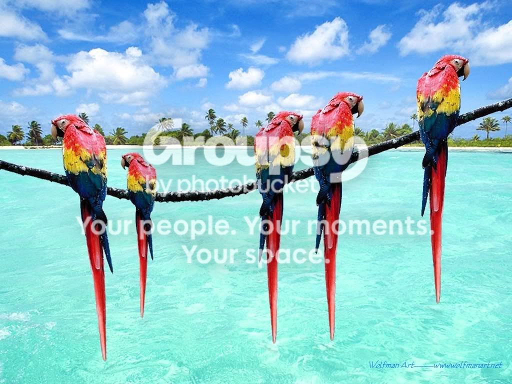 waparrotspring.jpg