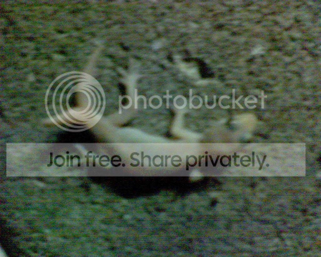 DSC00002.jpg