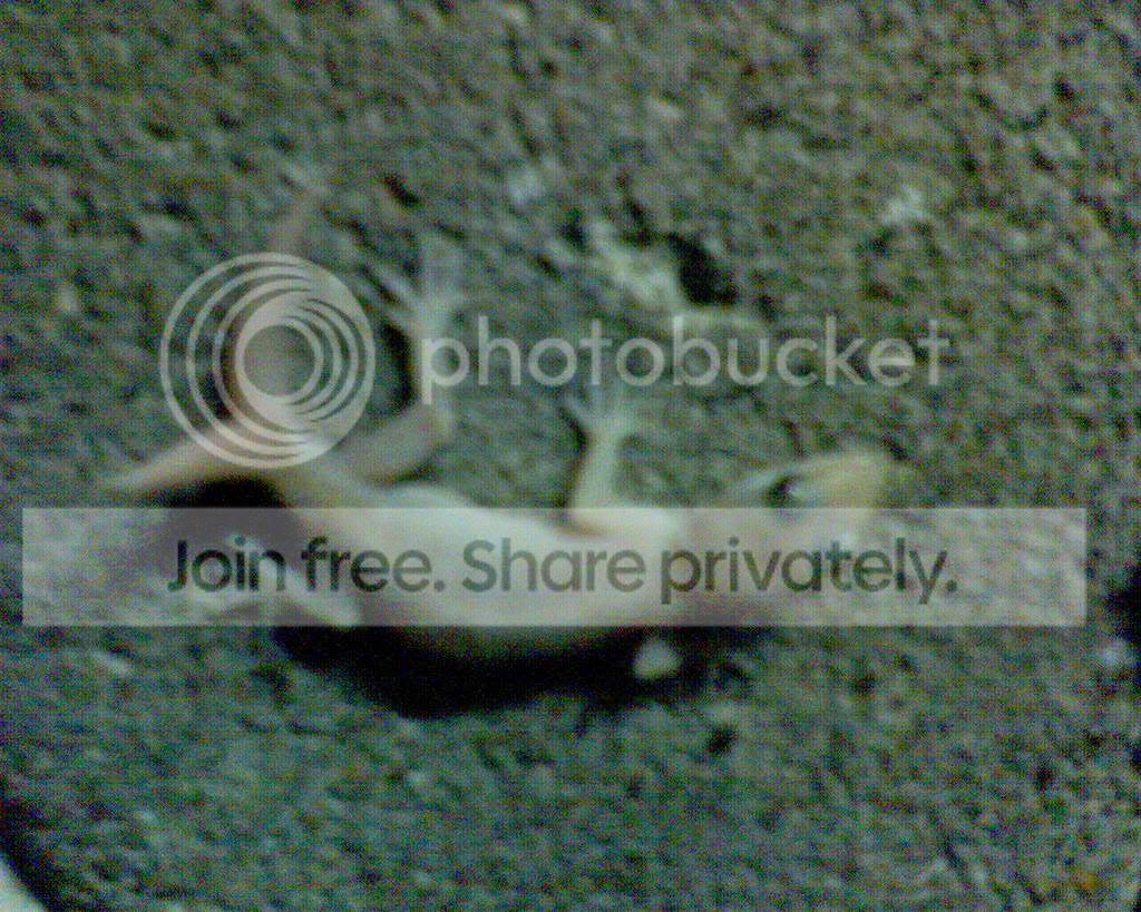 DSC00003.jpg