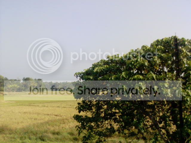 DSC00055.jpg