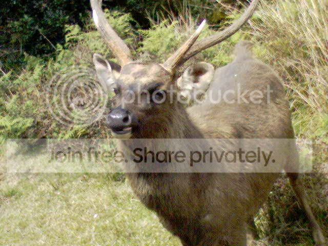 DSC00159.jpg